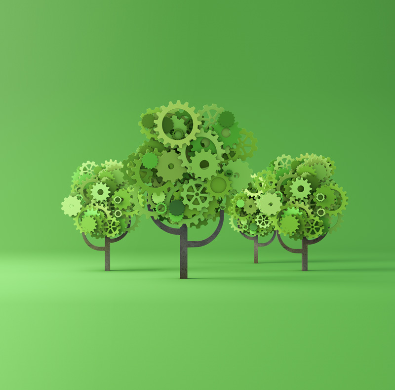 La Green Economy de DOpla: l'innovation